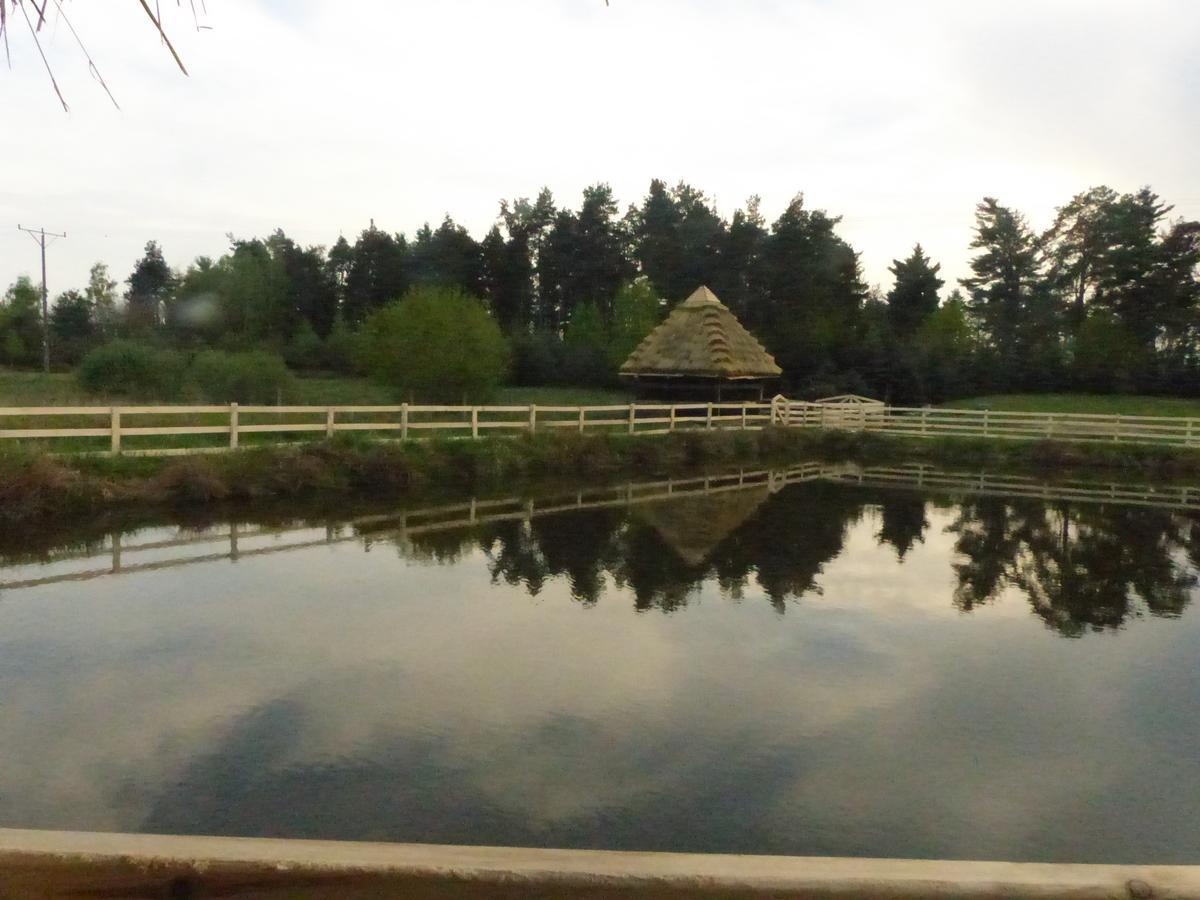 Karczma Goralska Bed and Breakfast Wisznice Esterno foto